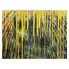 Bamboo Forest in light